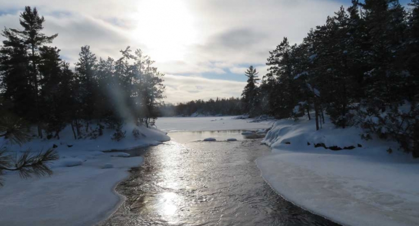 Water flows through ice and snow and is framed by evergreen trees
